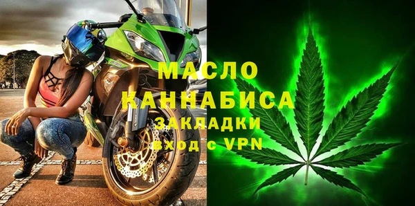 эйфоретик Ельня