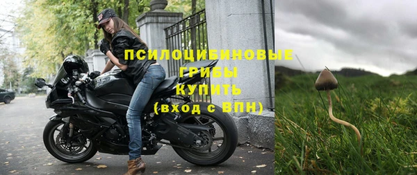 гашик Елабуга