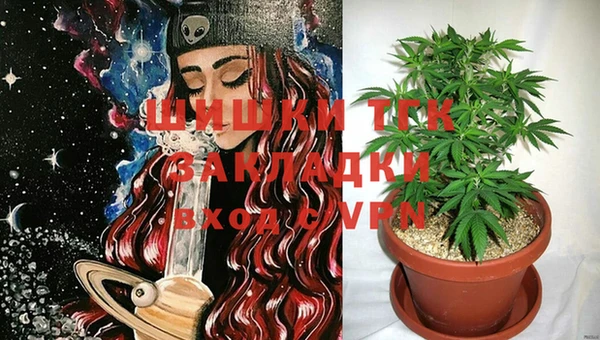 тгк Елизово