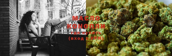 тгк Елизово