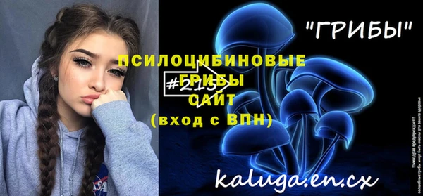 эйфоретик Ельня