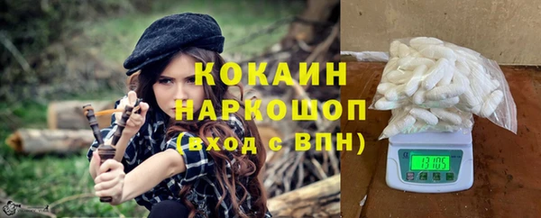 тгк Елизово